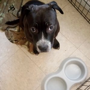 Meet your Posher, Leelee